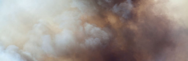 Myths of Cremation A brochure that examines some of the myths surrounding cremation. Available in bulk for your community by contacting NASCK.