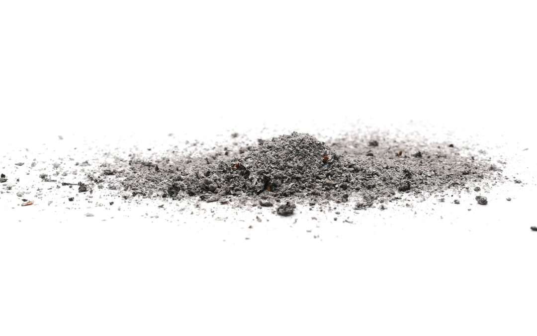Tahara for Cremation